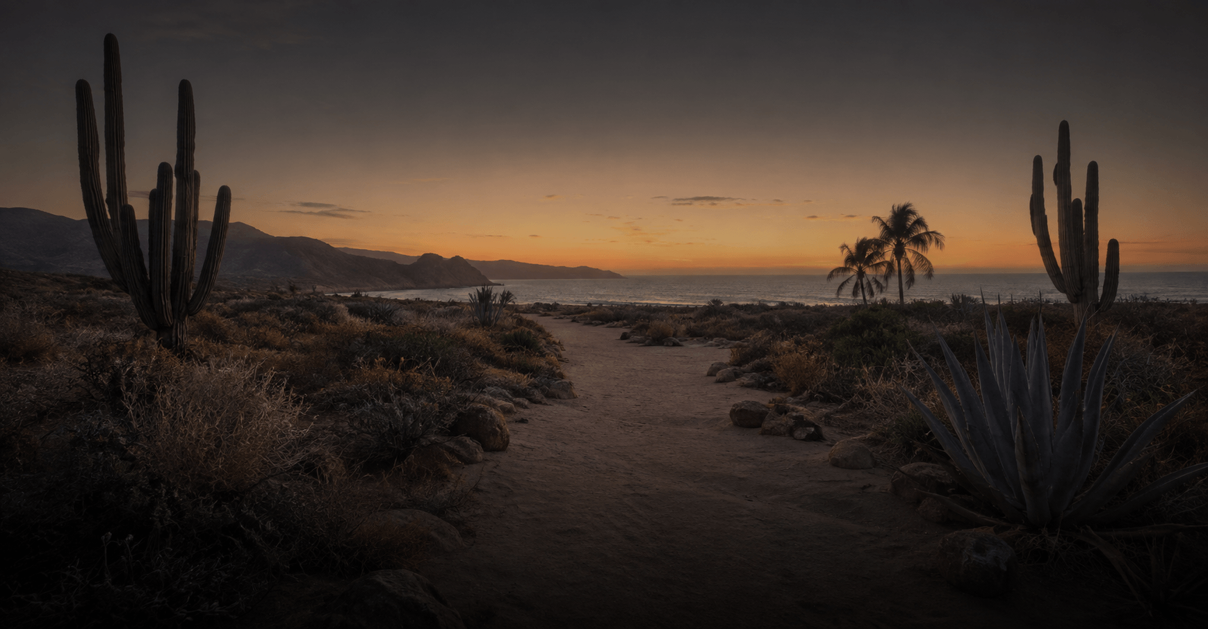 Desert landscape at dusk near El Perdido